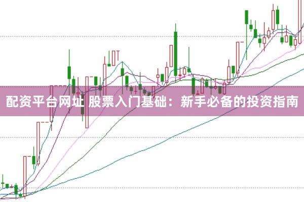 配资平台网址 股票入门基础：新手必备的投资指南