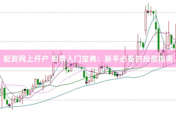 配资网上开户 股票入门宝典：新手必备的投资指南