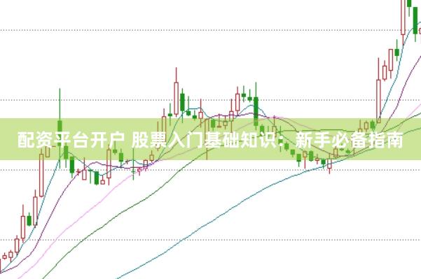 配资平台开户 股票入门基础知识：新手必备指南