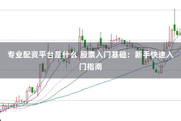 专业配资平台是什么 股票入门基础：新手快速入门指南