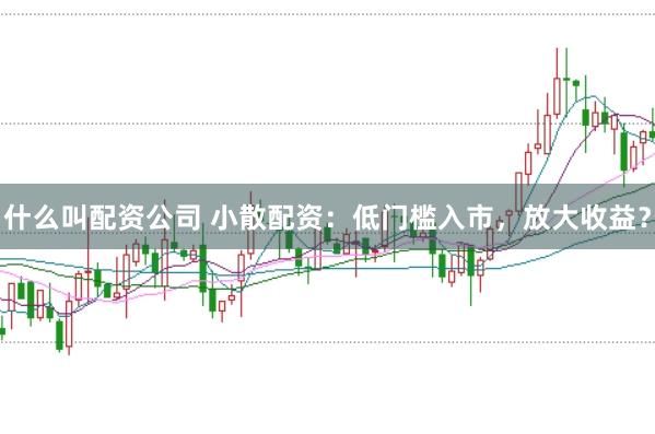 什么叫配资公司 小散配资：低门槛入市，放大收益？