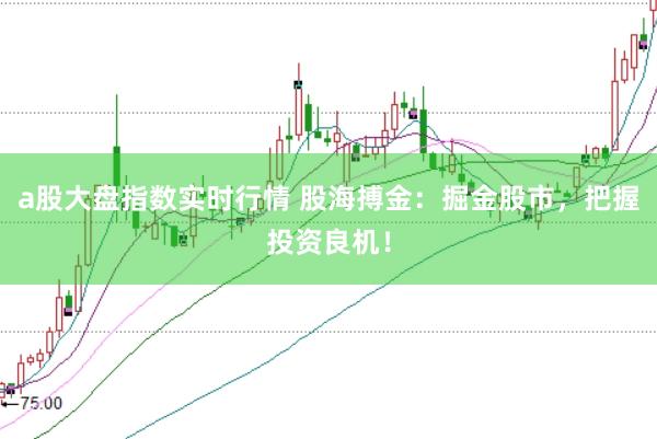 a股大盘指数实时行情 股海搏金：掘金股市，把握投资良机！
